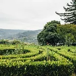 Quinta De Guimaraes Landhaus Miguas