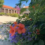 Quinta De Guimaraes Kır Evi Miguas