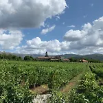 Kır Evi Quinta De Guimaraes Miguas