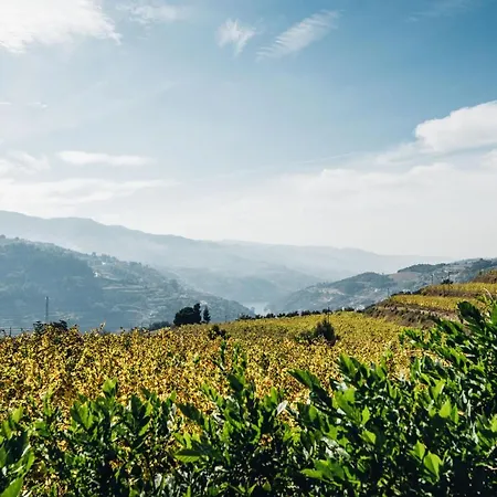 Quinta De Guimaraes Miguas