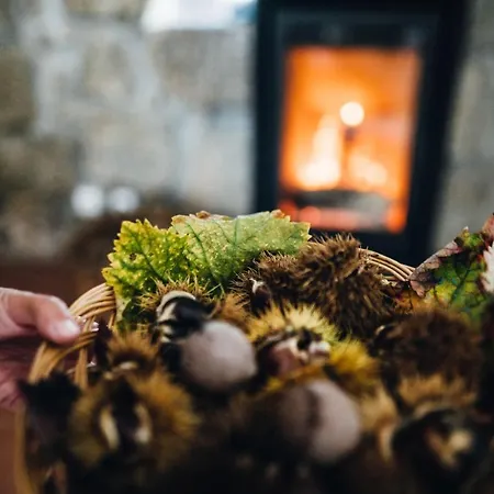 Quinta De Guimaraes Casa di campagna *