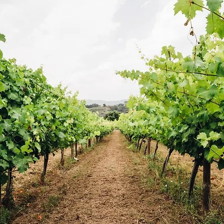 בית כפרי Quinta De Guimaraes