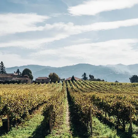 Quinta De Guimaraes Εξοχικό σπίτι *