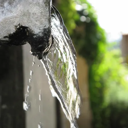 Quinta De Guimaraes *