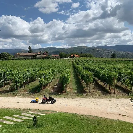 Quinta De Guimaraes * Miguas