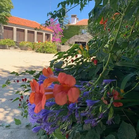 Quinta De Guimaraes Landhaus Miguas