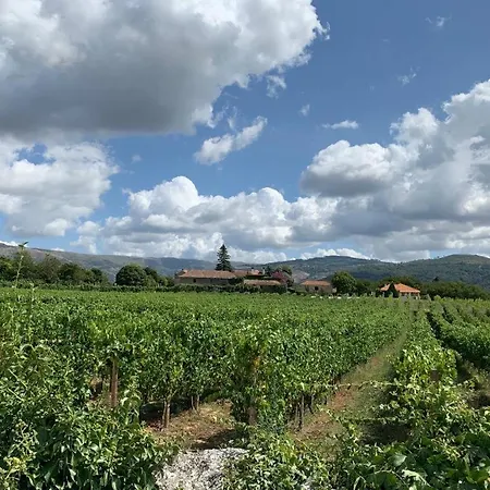 בית כפרי Quinta De Guimaraes Miguas