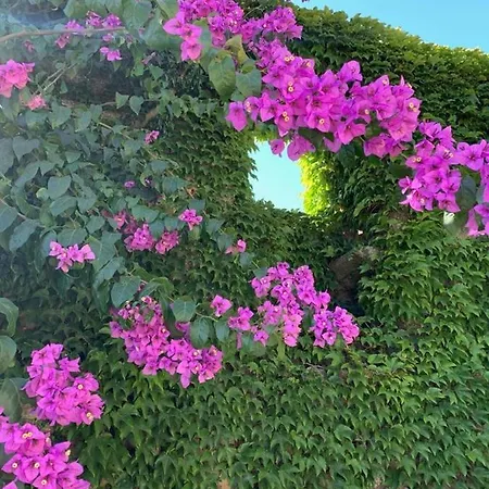 Quinta De Guimaraes בית כפרי