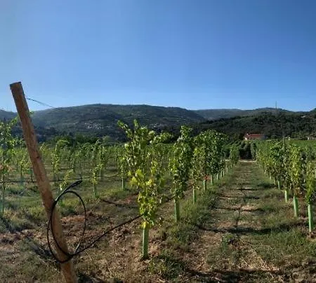 Quinta De Guimaraes * Miguas