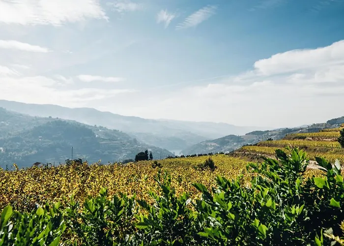 Quinta De Guimaraes Miguas