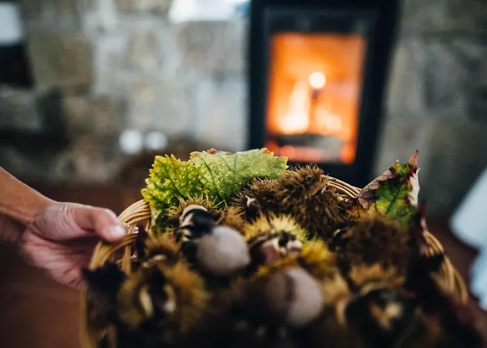 Quinta De Guimaraes Gospodarstwo wiejskie *