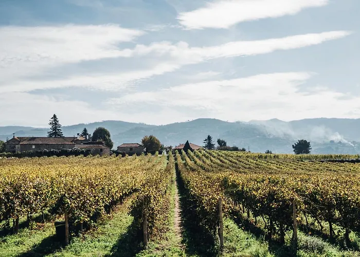 Quinta De Guimaraes Gospodarstwo wiejskie *