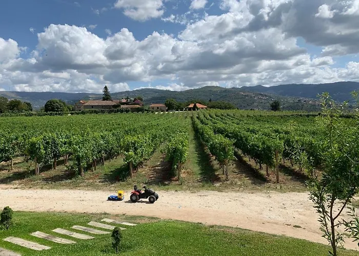 Quinta De Guimaraes * Miguas