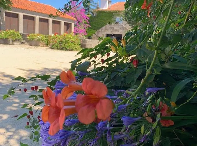 Quinta De Guimaraes Gospodarstwo wiejskie Miguas