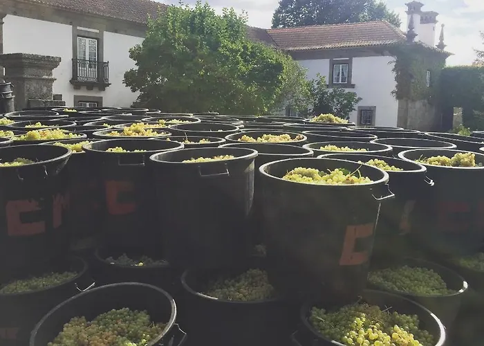 Quinta De Guimaraes Gospodarstwo wiejskie