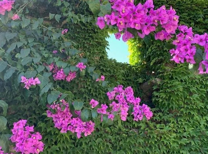 Quinta De Guimaraes Gospodarstwo wiejskie