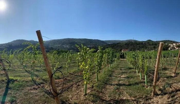 Quinta De Guimaraes * Miguas